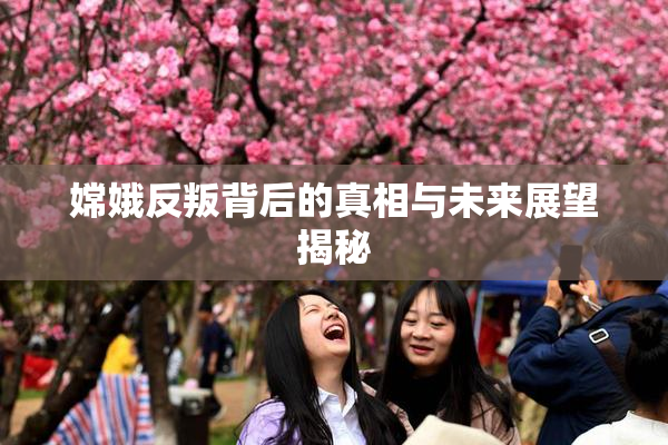 嫦娥反叛背后的真相与未来展望揭秘