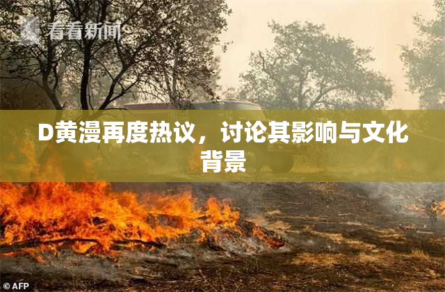 D黄漫再度热议，讨论其影响与文化背景