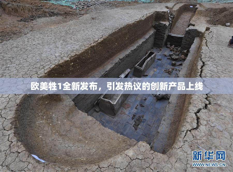 欧美牲1全新发布，引发热议的创新产品上线