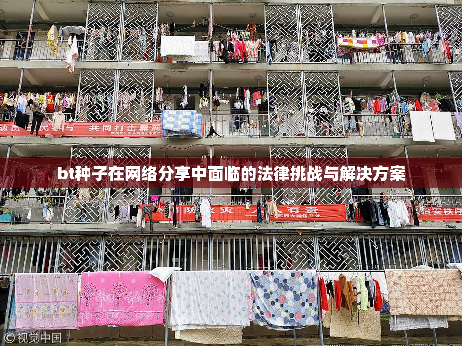 bt种子在网络分享中面临的法律挑战与解决方案