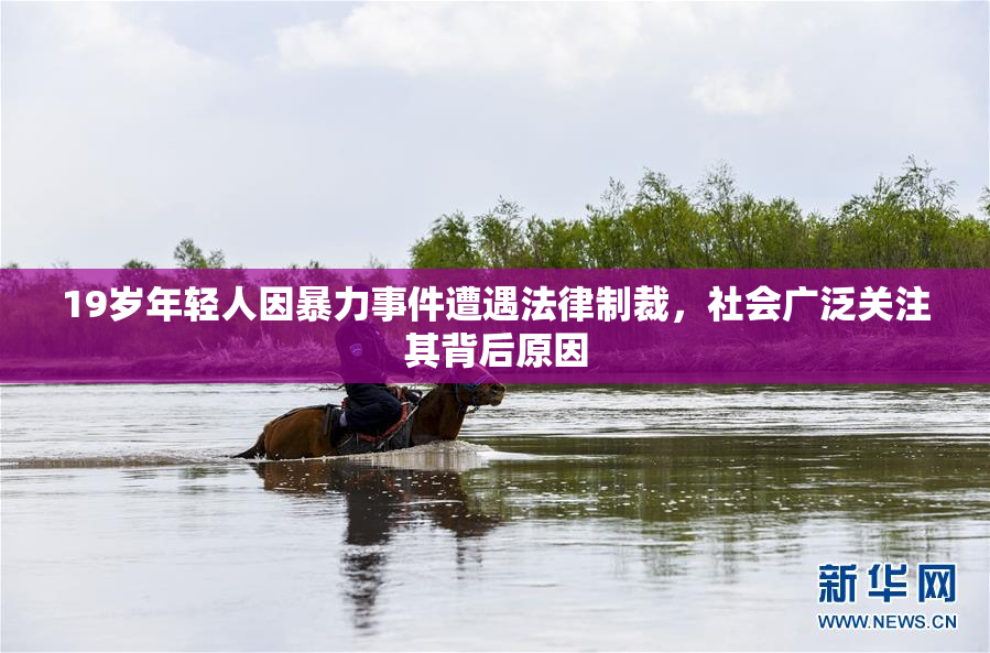 19岁年轻人因暴力事件遭遇法律制裁，社会广泛关注其背后原因