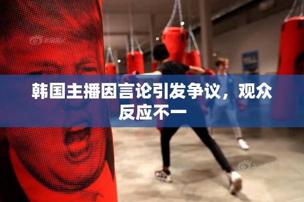 韩国主播因言论引发争议，观众反应不一