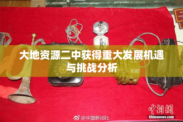大地资源二中获得重大发展机遇与挑战分析