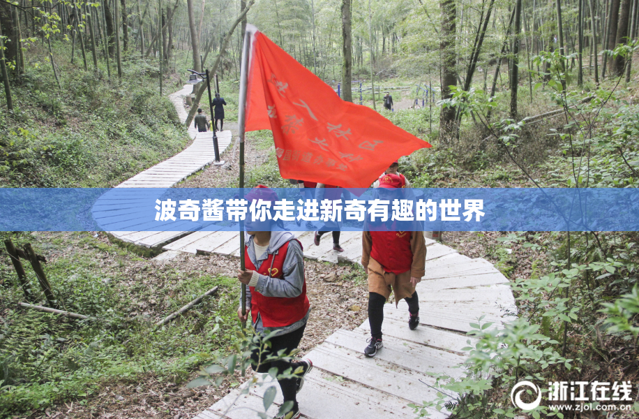 波奇酱带你走进新奇有趣的世界