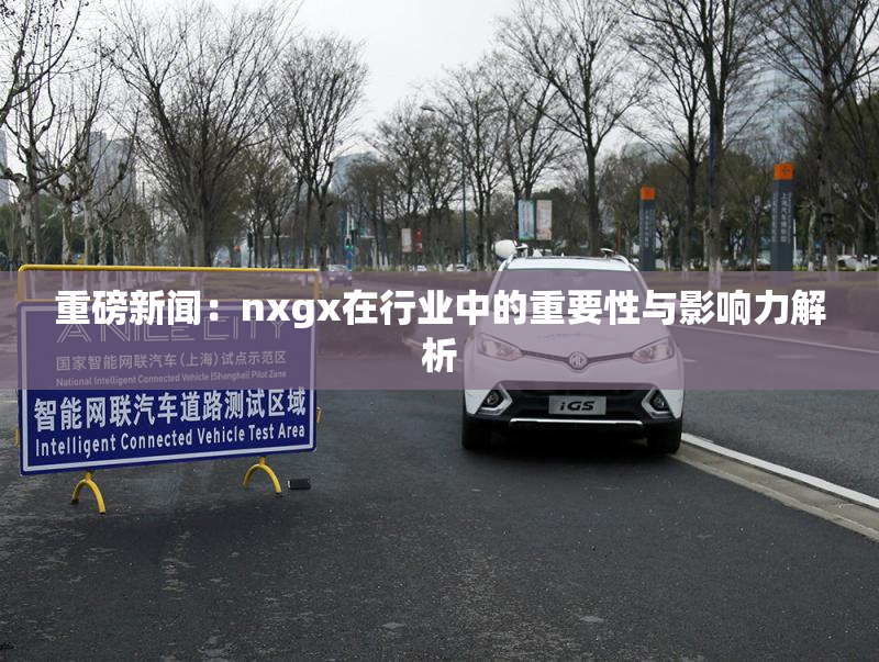 重磅新闻：nxgx在行业中的重要性与影响力解析