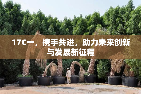 17C一，携手共进，助力未来创新与发展新征程