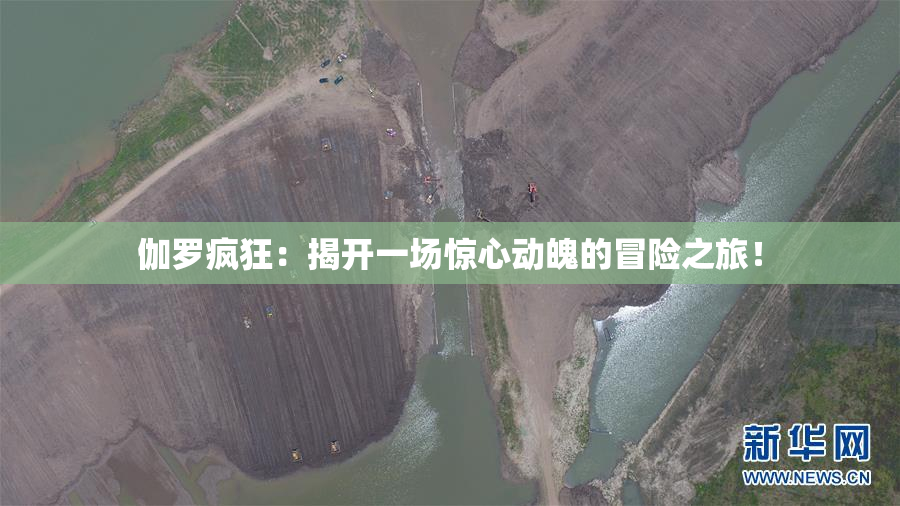 伽罗疯狂：揭开一场惊心动魄的冒险之旅！