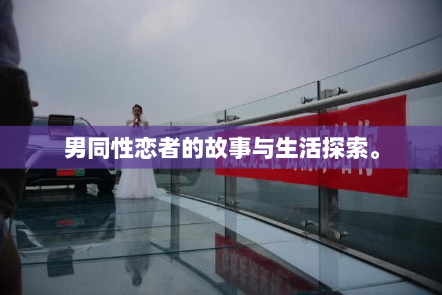 男同性恋者的故事与生活探索。