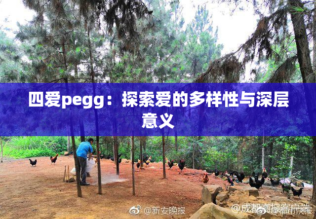 四爱pegg：探索爱的多样性与深层意义