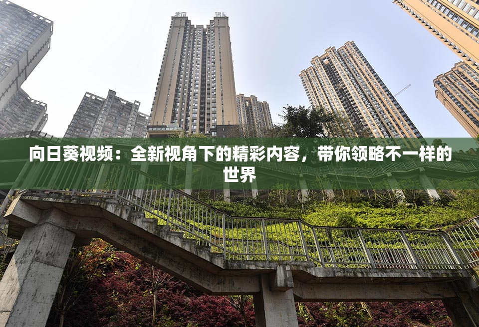 向日葵视频：全新视角下的精彩内容，带你领略不一样的世界