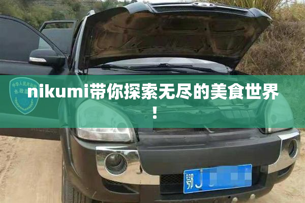 nikumi带你探索无尽的美食世界！