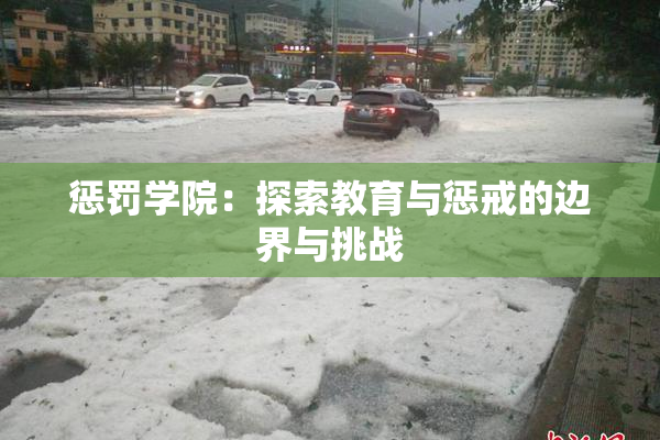 惩罚学院：探索教育与惩戒的边界与挑战