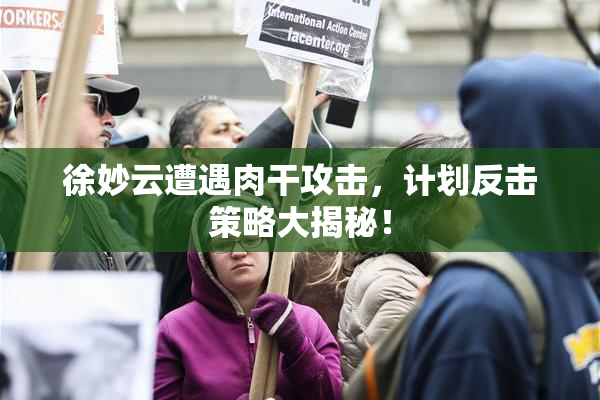 徐妙云遭遇肉干攻击，计划反击策略大揭秘！