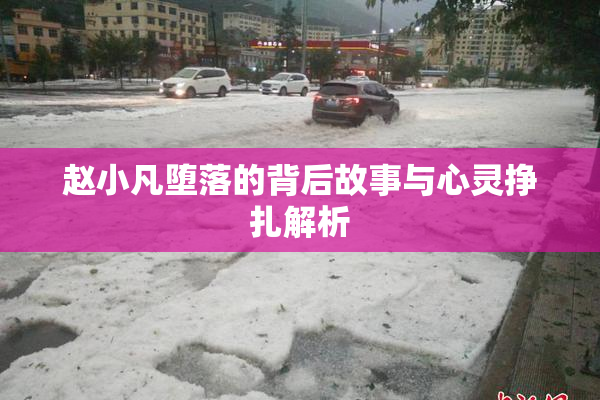 赵小凡堕落的背后故事与心灵挣扎解析
