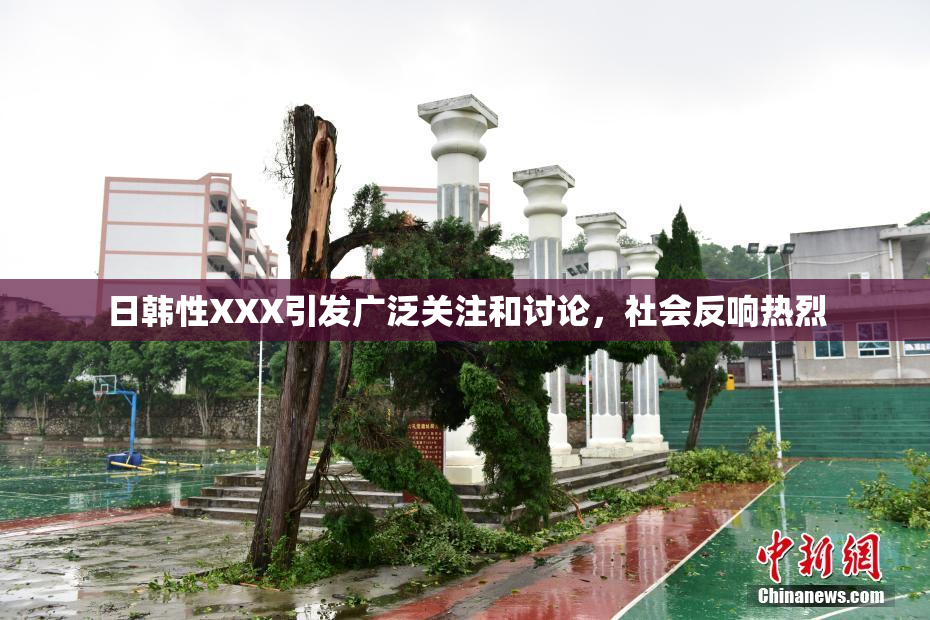 日韩性XXX引发广泛关注和讨论，社会反响热烈