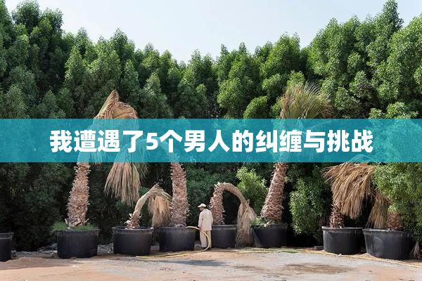我遭遇了5个男人的纠缠与挑战