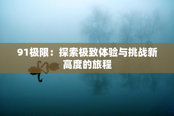 91极限：探索极致体验与挑战新高度的旅程