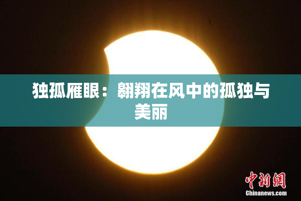独孤雁眼：翱翔在风中的孤独与美丽