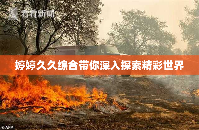 婷婷久久综合带你深入探索精彩世界
