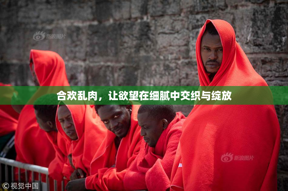 合欢乱肉，让欲望在细腻中交织与绽放
