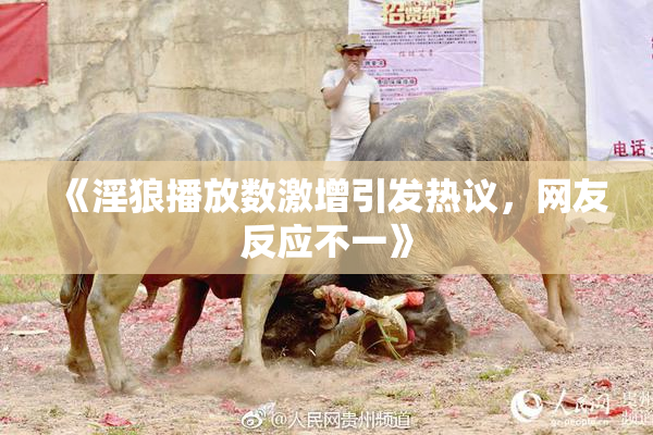 《淫狼播放数激增引发热议，网友反应不一》