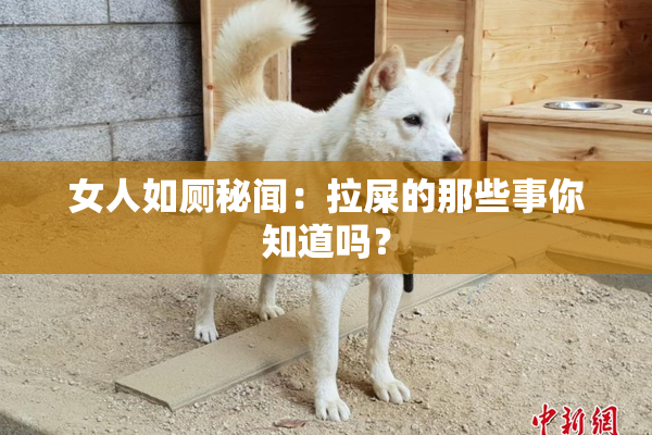 女人如厕秘闻：拉屎的那些事你知道吗？
