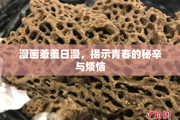 漫画羞羞日漫，揭示青春的秘辛与烦恼