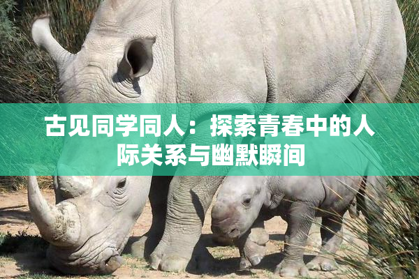 古见同学同人：探索青春中的人际关系与幽默瞬间
