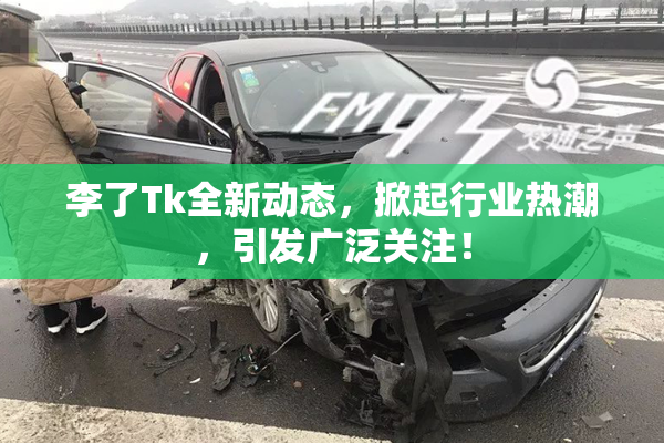 李了Tk全新动态，掀起行业热潮，引发广泛关注！
