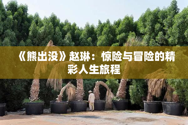 《熊出没》赵琳：惊险与冒险的精彩人生旅程