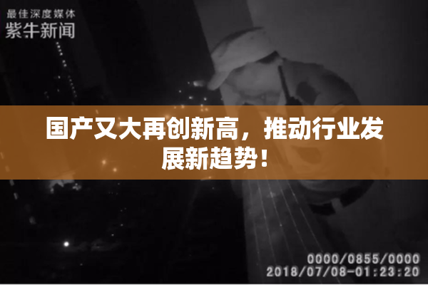 国产又大再创新高，推动行业发展新趋势！