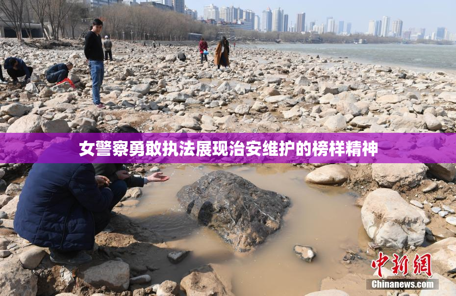 女警察勇敢执法展现治安维护的榜样精神