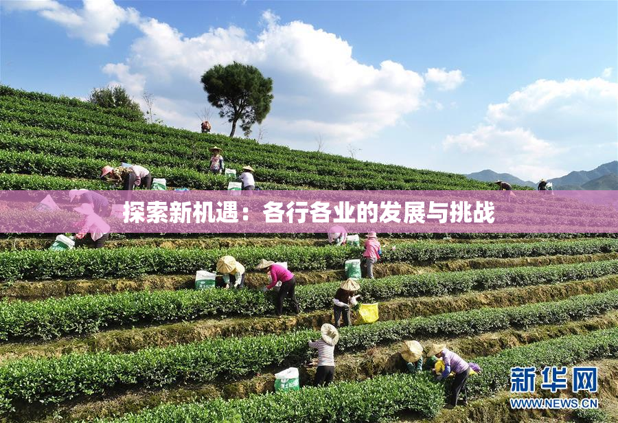 探索新机遇：各行各业的发展与挑战