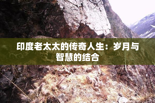 印度老太太的传奇人生：岁月与智慧的结合