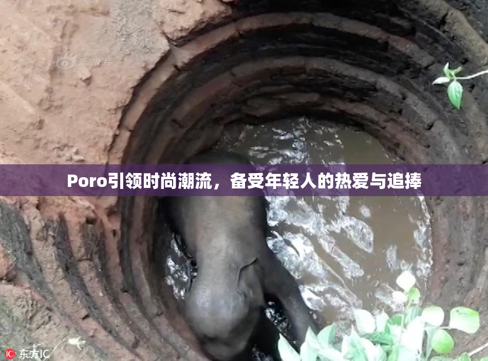 Poro引领时尚潮流，备受年轻人的热爱与追捧