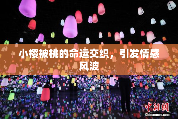 小樱被桃的命运交织，引发情感风波