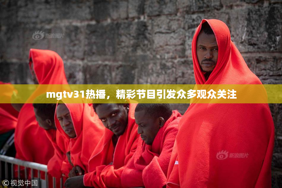 mgtv31热播，精彩节目引发众多观众关注