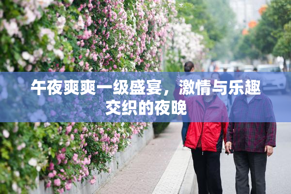 午夜爽爽一级盛宴，激情与乐趣交织的夜晚