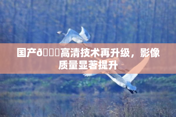 国产🍑高清技术再升级，影像质量显著提升