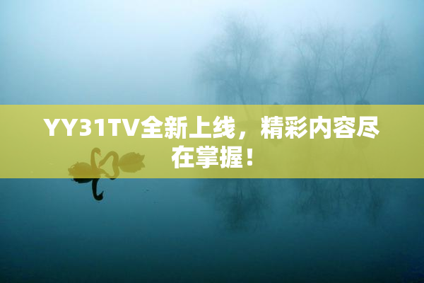 YY31TV全新上线，精彩内容尽在掌握！