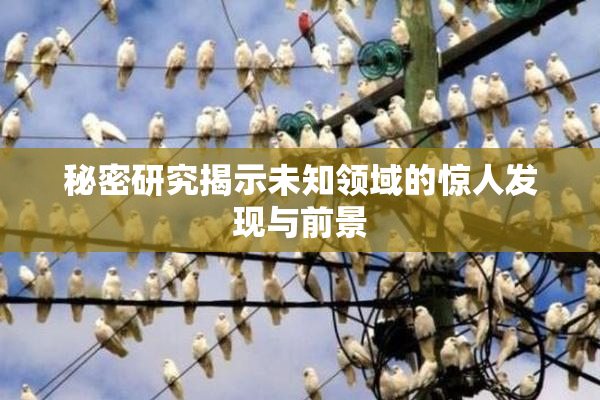 秘密研究揭示未知领域的惊人发现与前景
