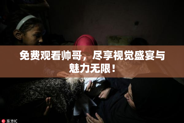 免费观看帅哥，尽享视觉盛宴与魅力无限！