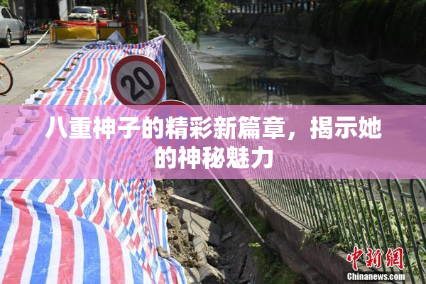 八重神子的精彩新篇章，揭示她的神秘魅力
