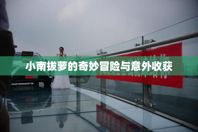 小南拔萝的奇妙冒险与意外收获