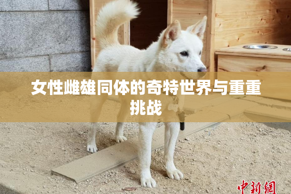 女性雌雄同体的奇特世界与重重挑战
