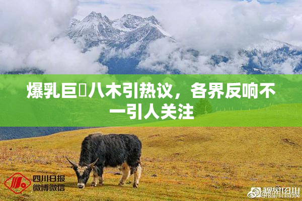 爆乳巨凥八木引热议，各界反响不一引人关注