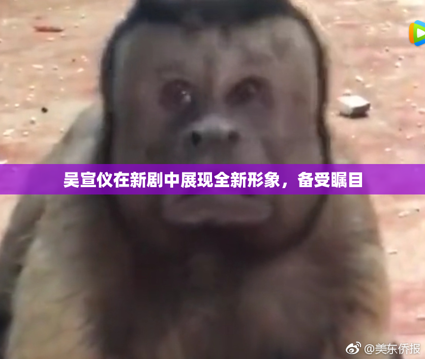 吴宣仪在新剧中展现全新形象，备受瞩目