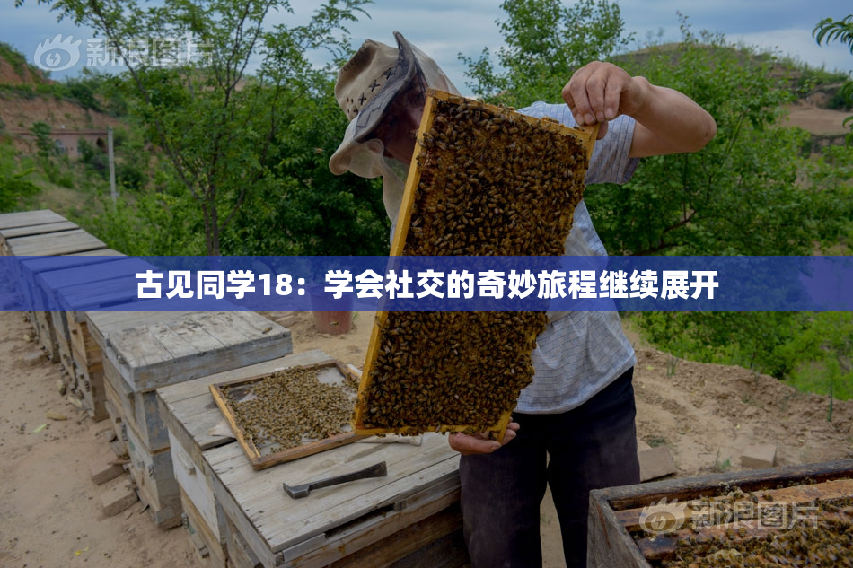 古见同学18：学会社交的奇妙旅程继续展开