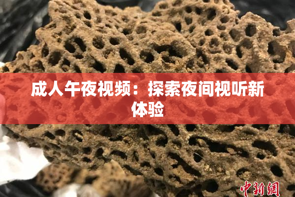 成人午夜视频：探索夜间视听新体验