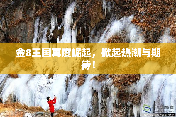 金8王国再度崛起，掀起热潮与期待！